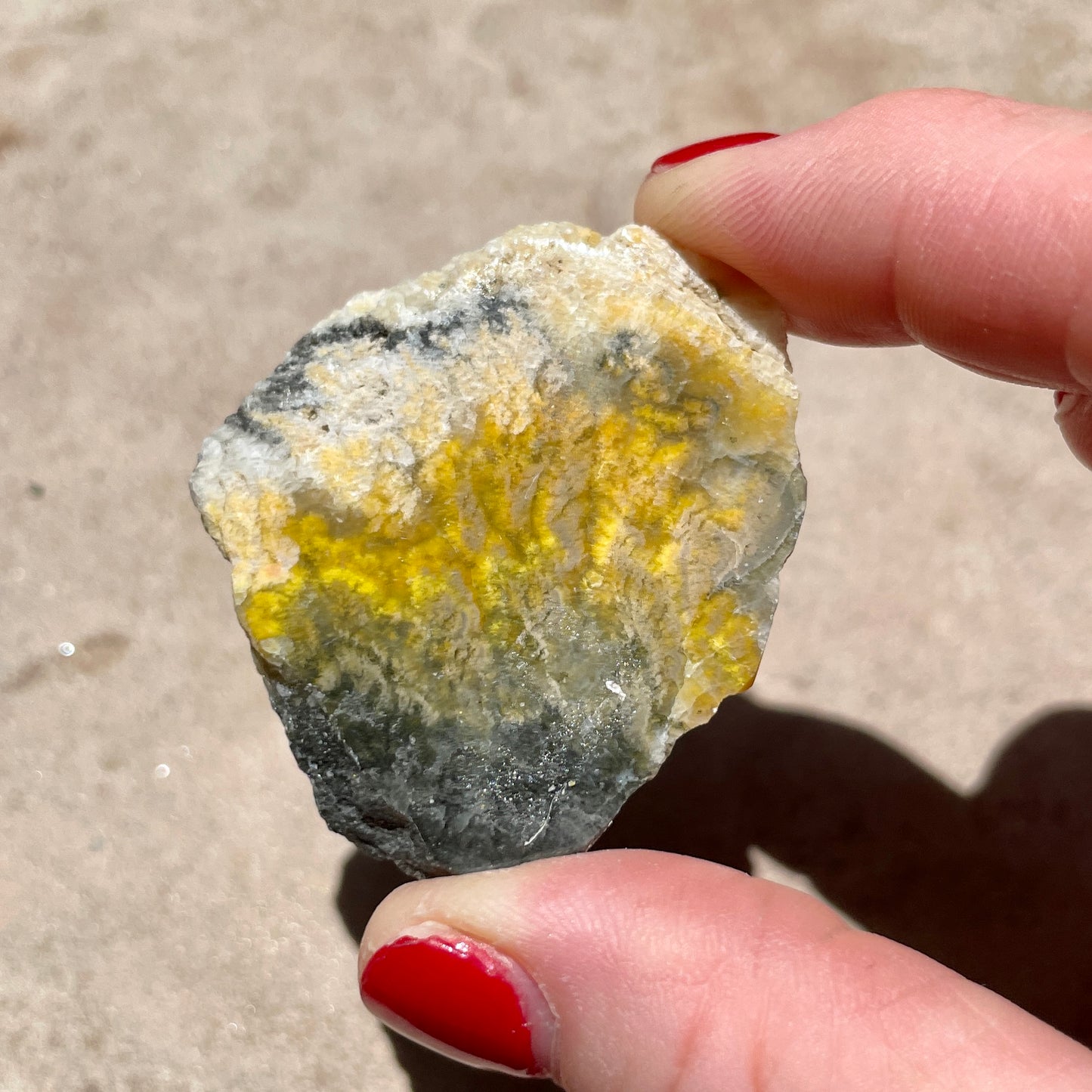 Bumble Bee Jasper slice 4.5CM