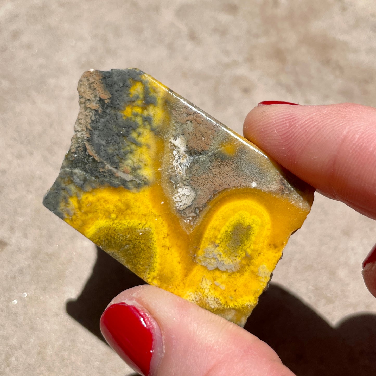 Bumble Bee Jasper slice 5CM