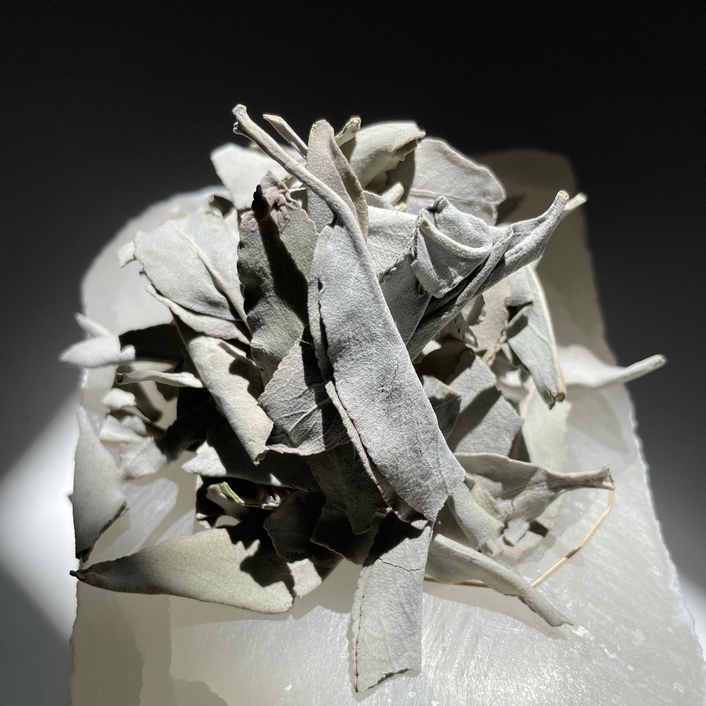 White Sage sitting on a crystal.