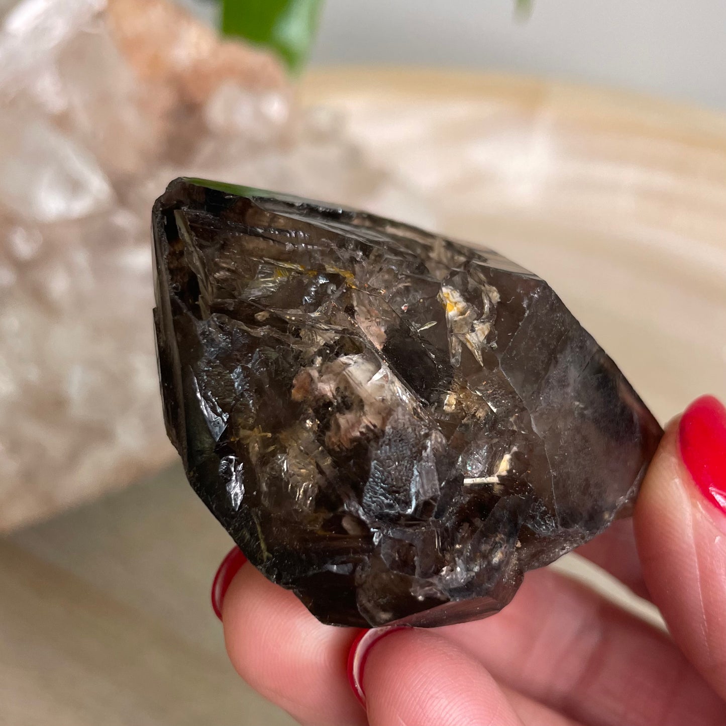 Elestial Smokey Quartz Cluster