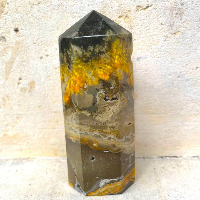 BUMBLE BEE JASPER