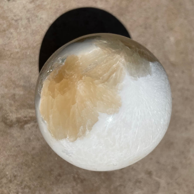 SCOLECITE