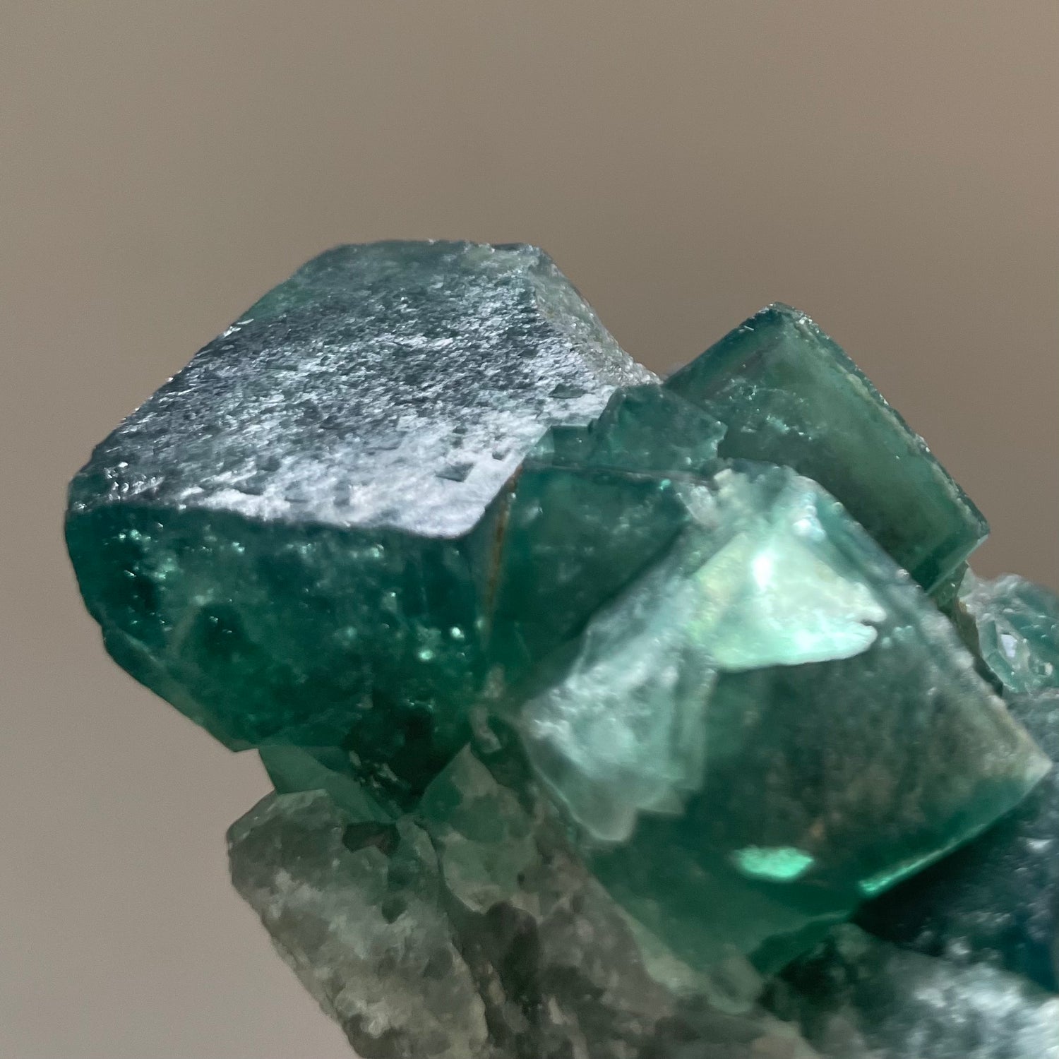 MOTIVATION AND FOCUS