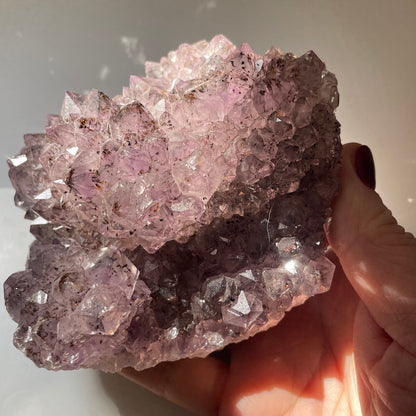 Amethyst cluster