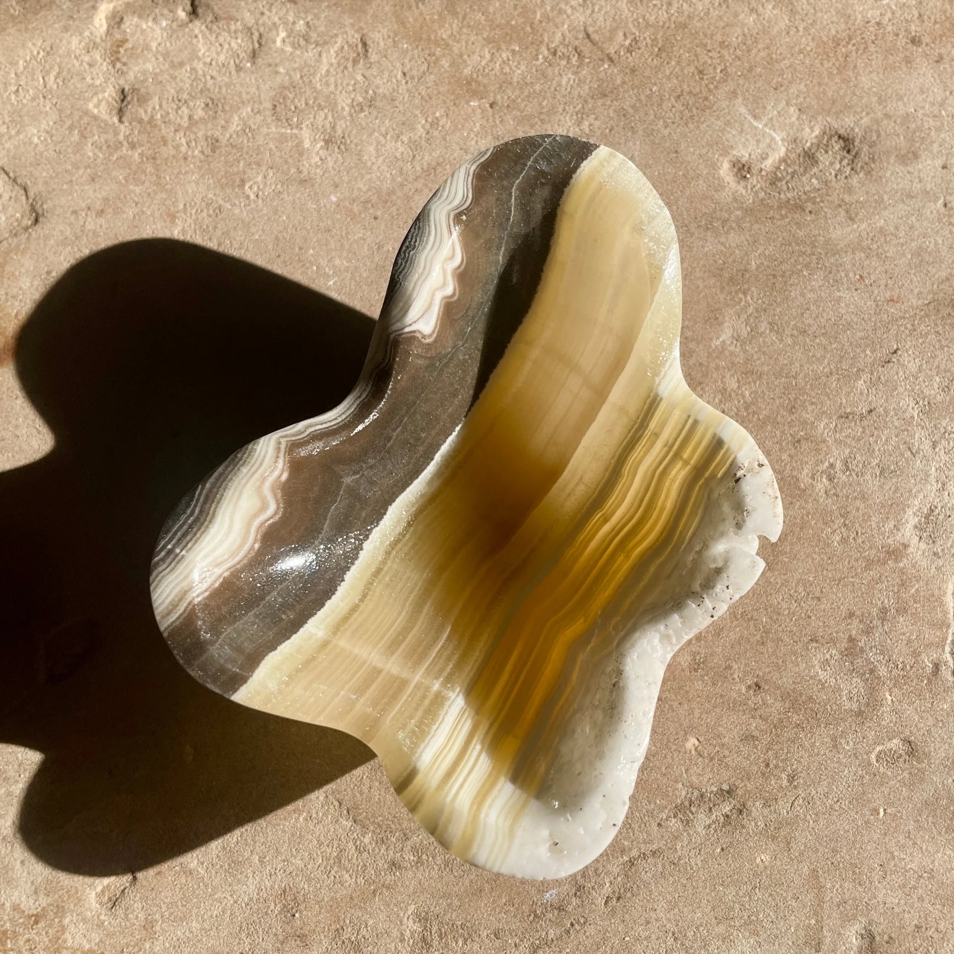 Zebra Aragonite trinket bowl