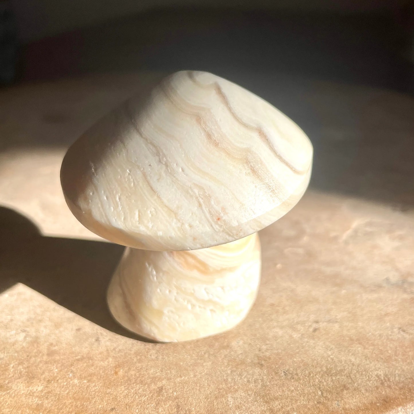 Zebra Aragonite mushroom 5.5CM
