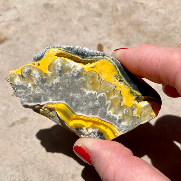 Bumble Bee Jasper slice 7.5CM