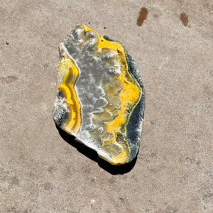 Bumble Bee Jasper slice 7.5CM