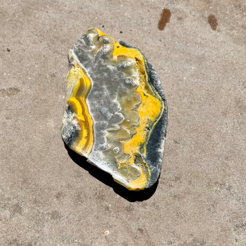 Bumble Bee Jasper slice 7.5CM