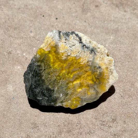 Bumble Bee Jasper slice 4.5CM