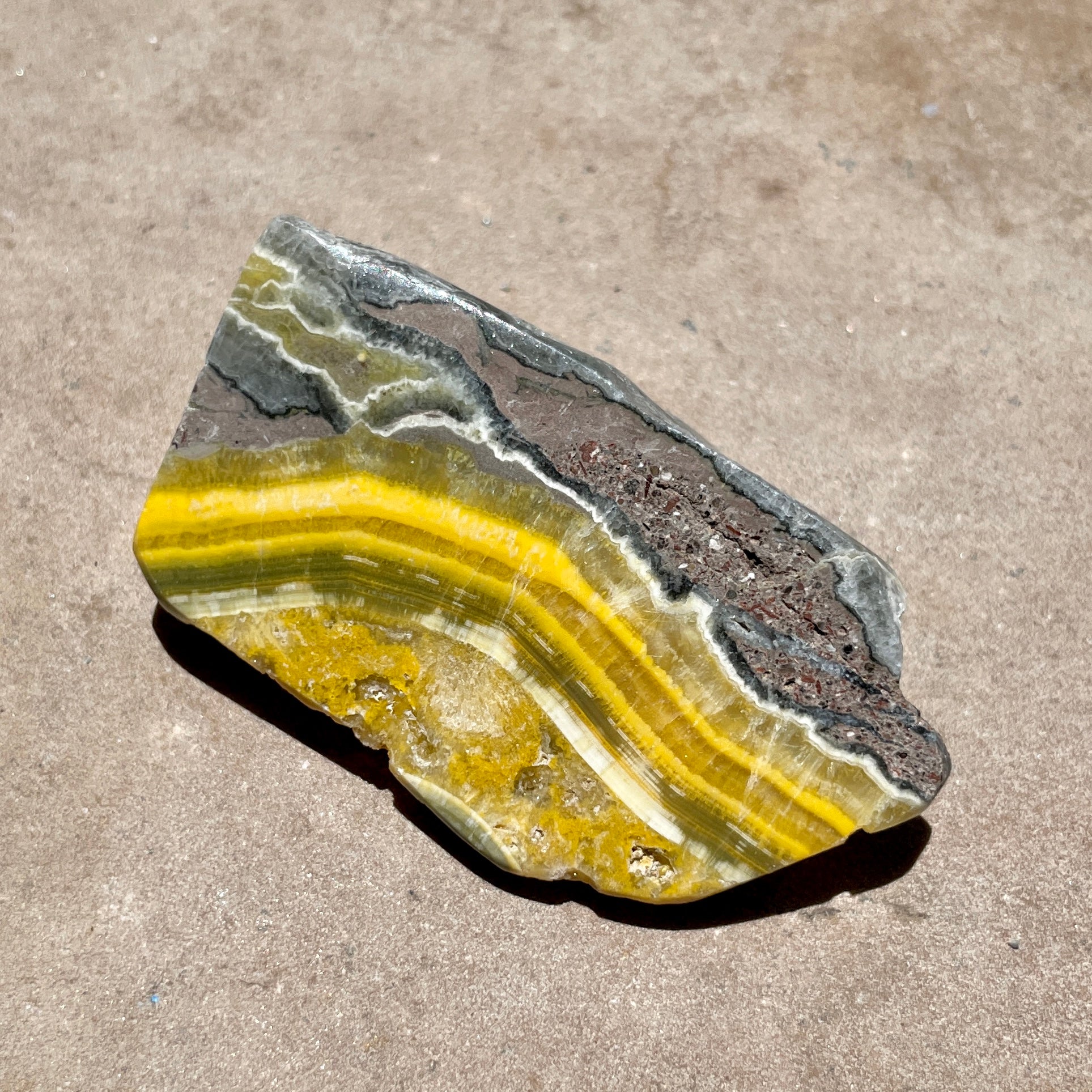 Bumble Bee Jasper slice 5.5CM