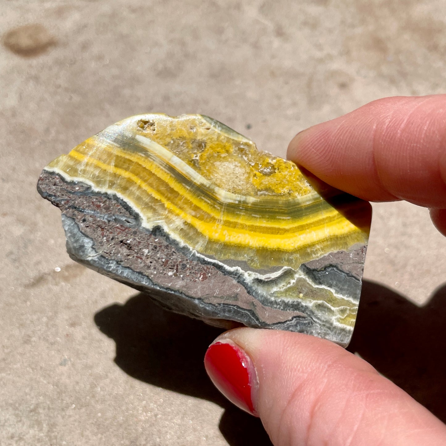 Bumble Bee Jasper slice 5.5CM