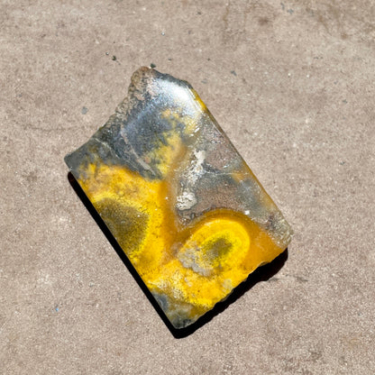 Bumble Bee Jasper slice 5CM