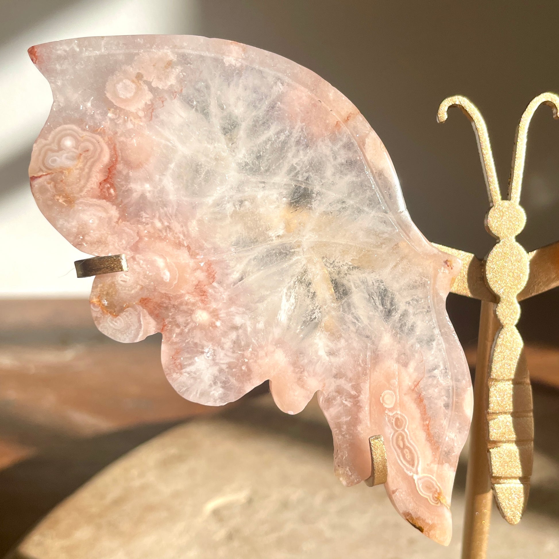 Flower Agate butterfly wings