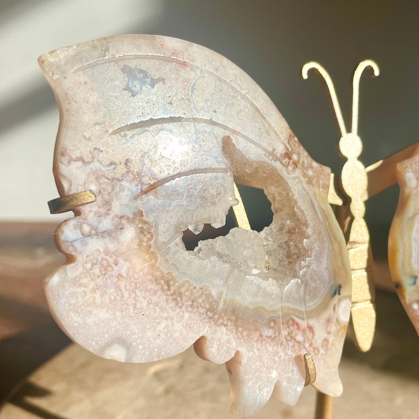 Flower Agate druzy butterfly wings