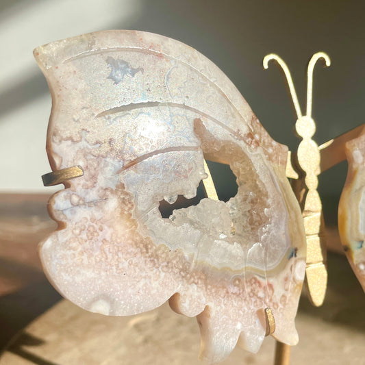 Flower Agate druzy butterfly wings