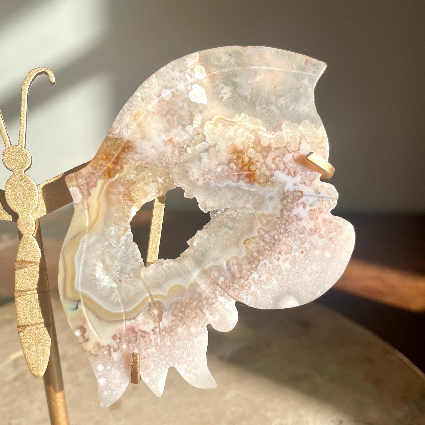 Flower Agate druzy butterfly wings