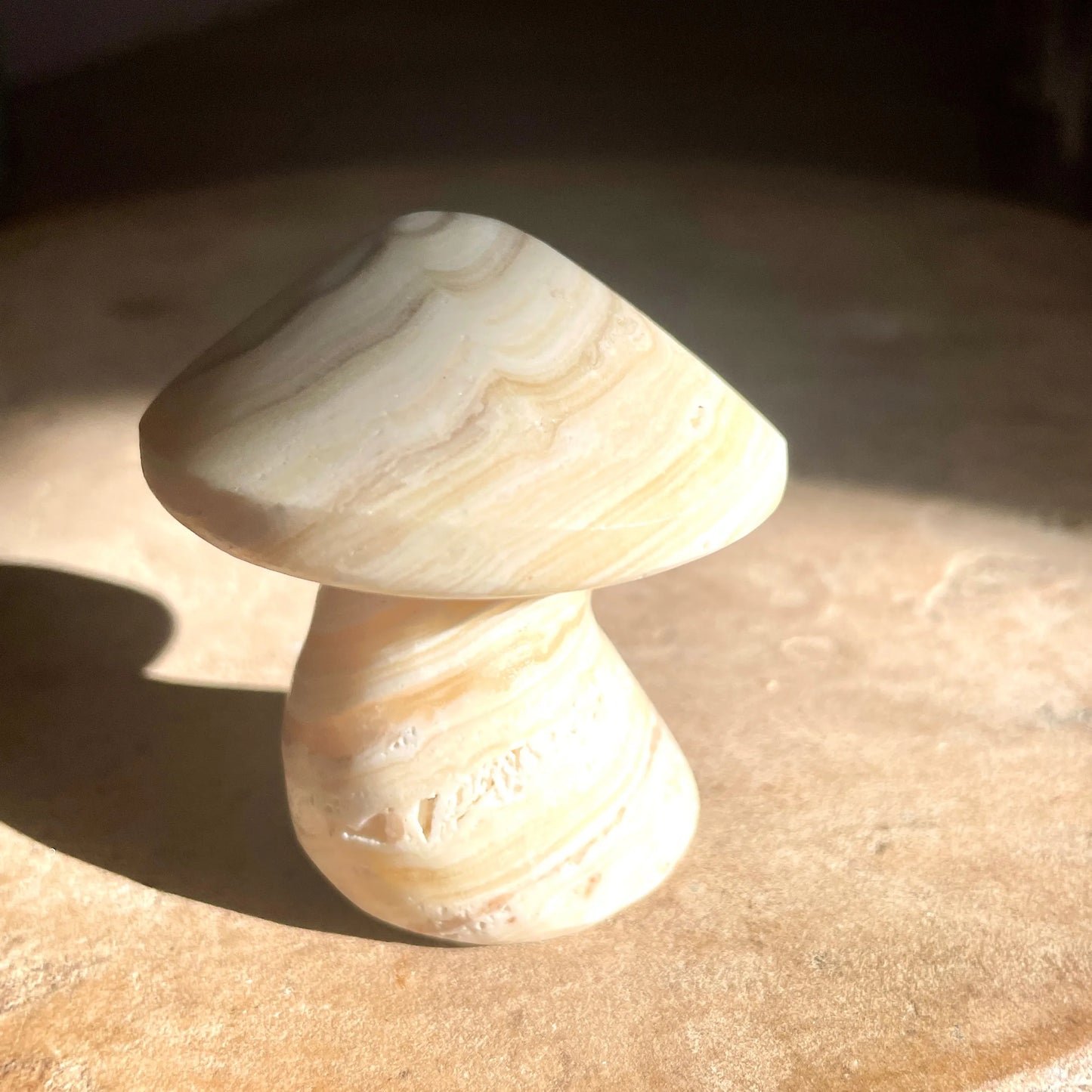 Zebra Aragonite mushroom 5.5CM