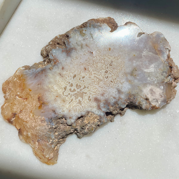 Pink Amethyst with flower agate slice 14CM