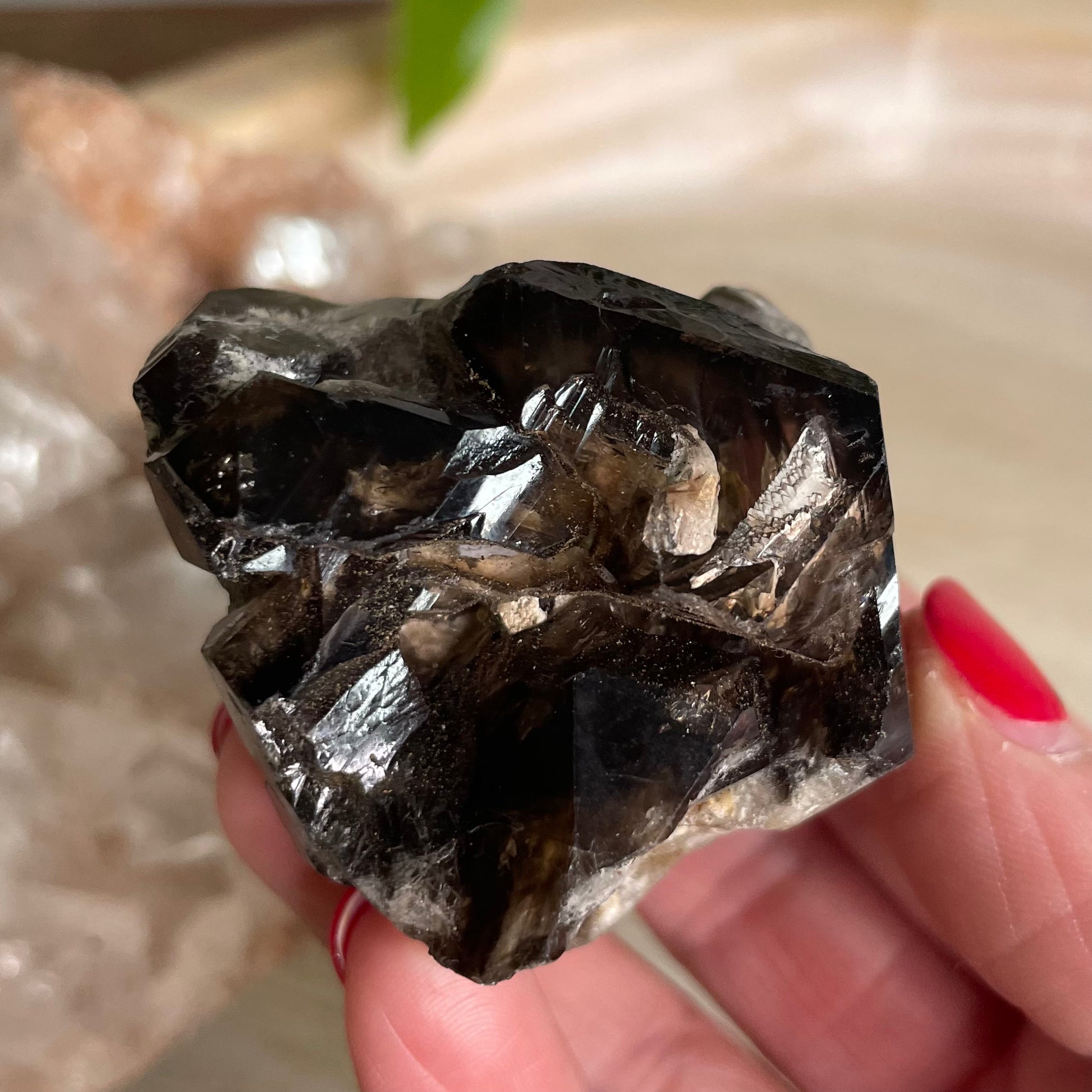 Elestial Smokey Quartz Cluster