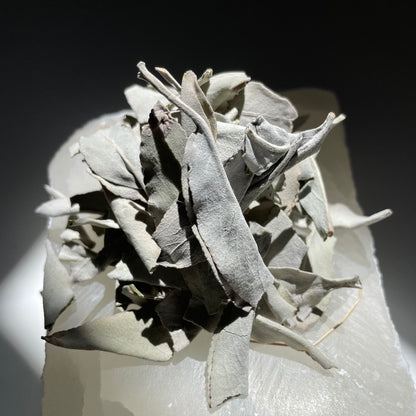 White Sage sitting on a crystal.