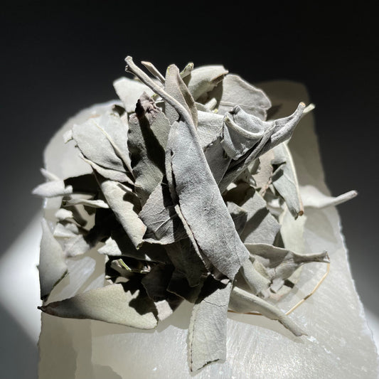 White Sage sitting on a crystal.