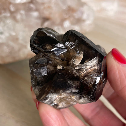 Elestial Smokey Quartz Cluster