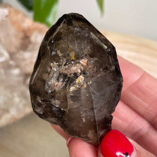 Elestial Smokey Quartz Cluster