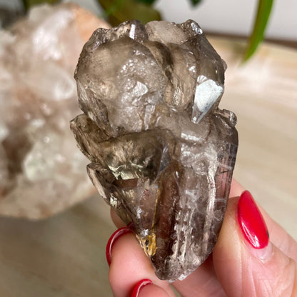 Elestial Smokey Quartz Cluster