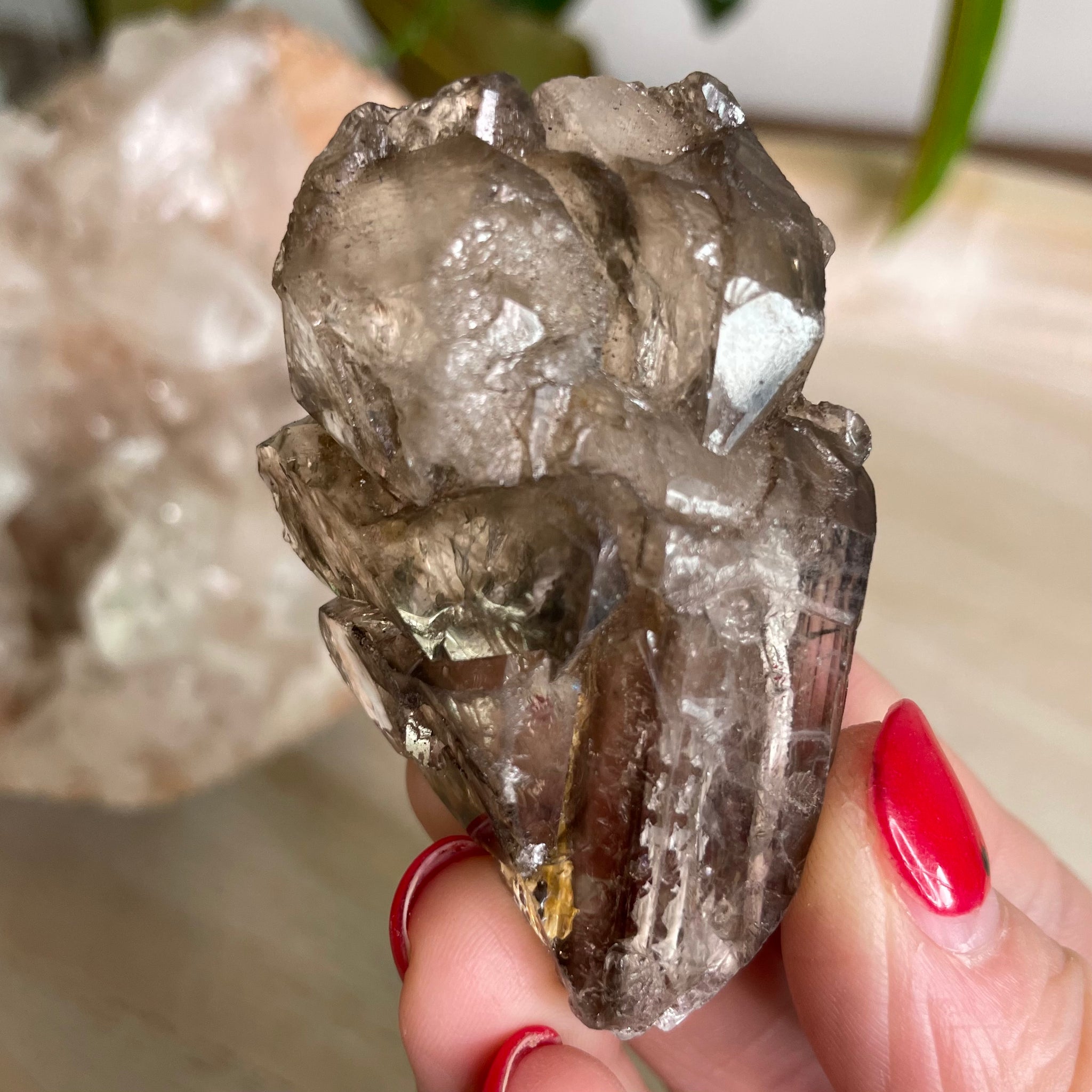 Elestial Smokey Quartz Cluster