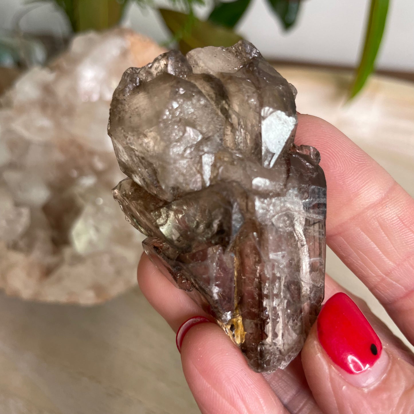 Elestial Smokey Quartz Cluster