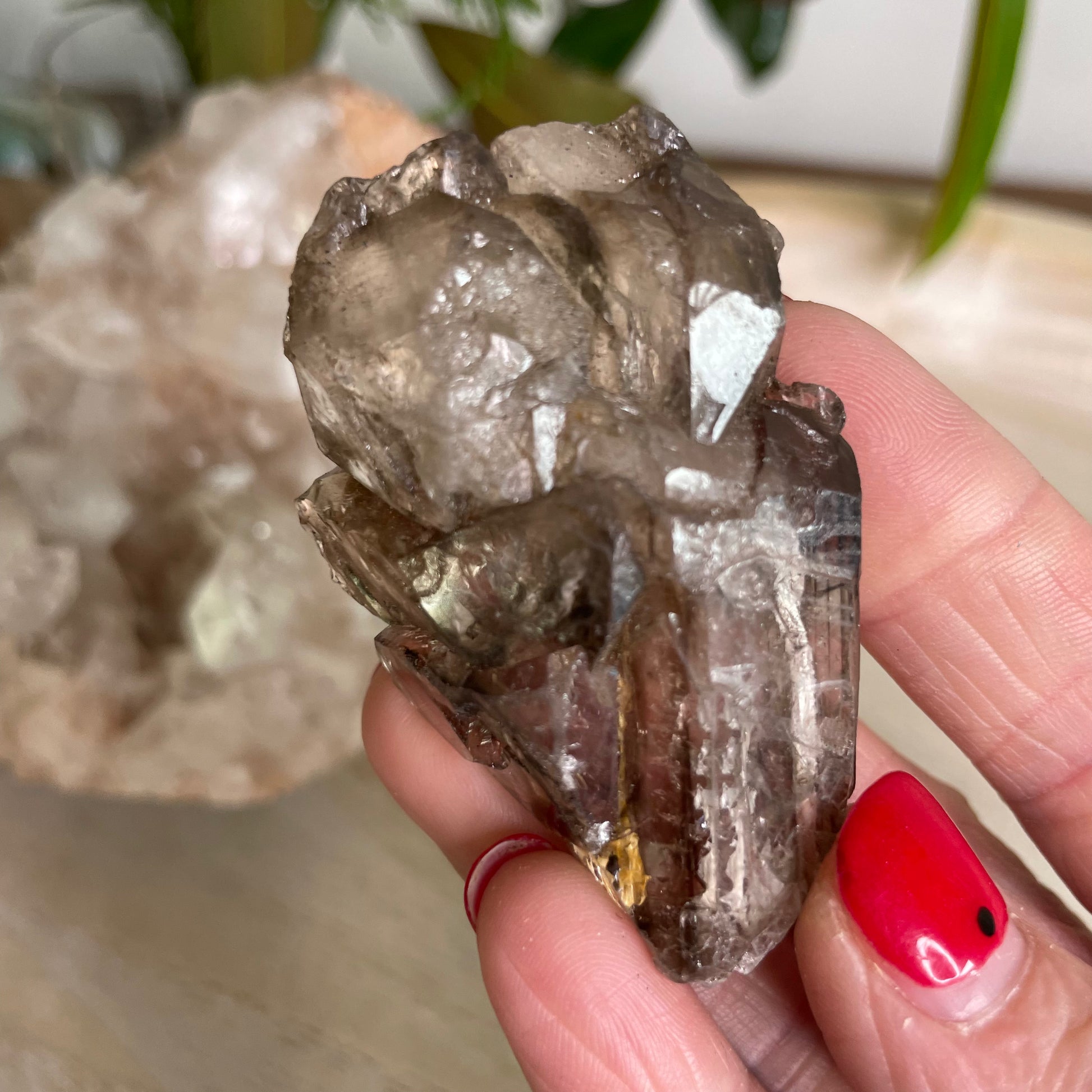 Elestial Smokey Quartz Cluster