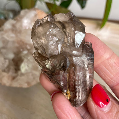 Elestial Smokey Quartz Cluster
