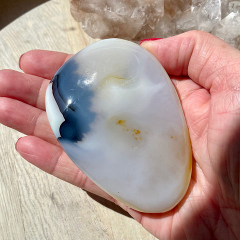 Dendritic Agate palm stone