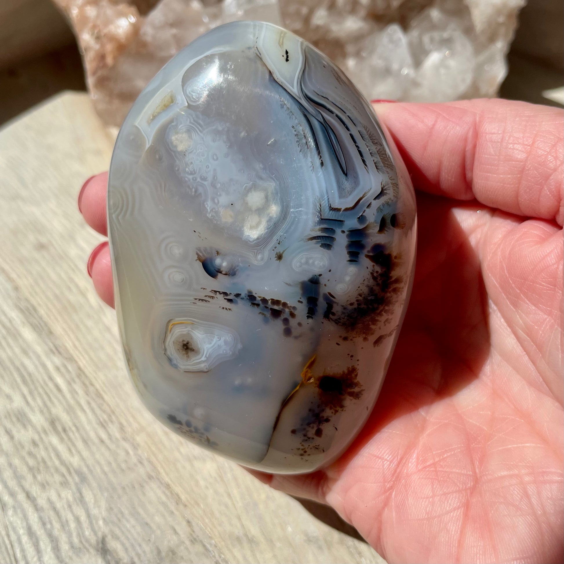 Dendritic Agate palm stone