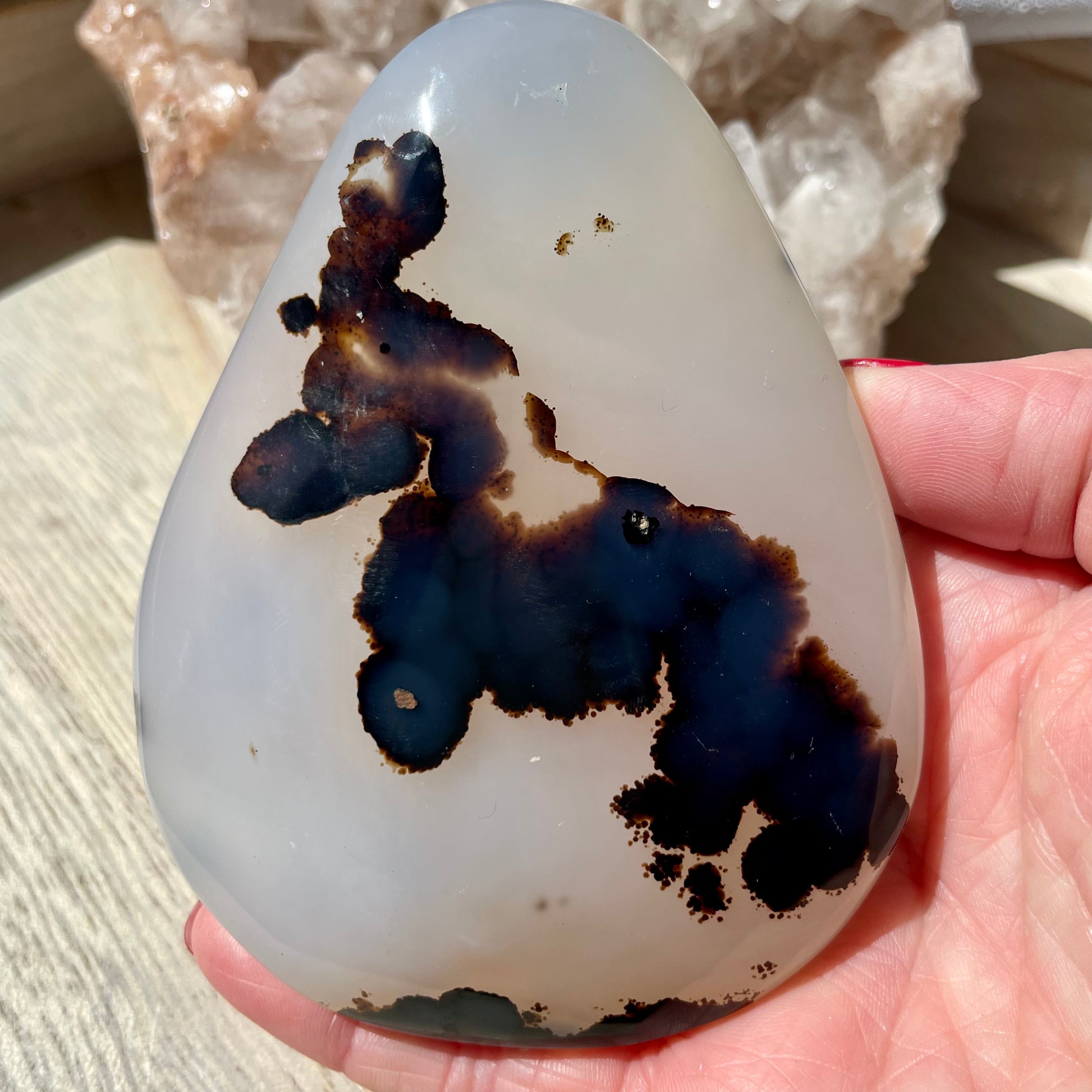 Dendritic Agate palm stone