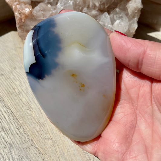 Dendritic Agate palm stone