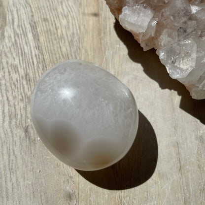 Orca Agate palm stone LG