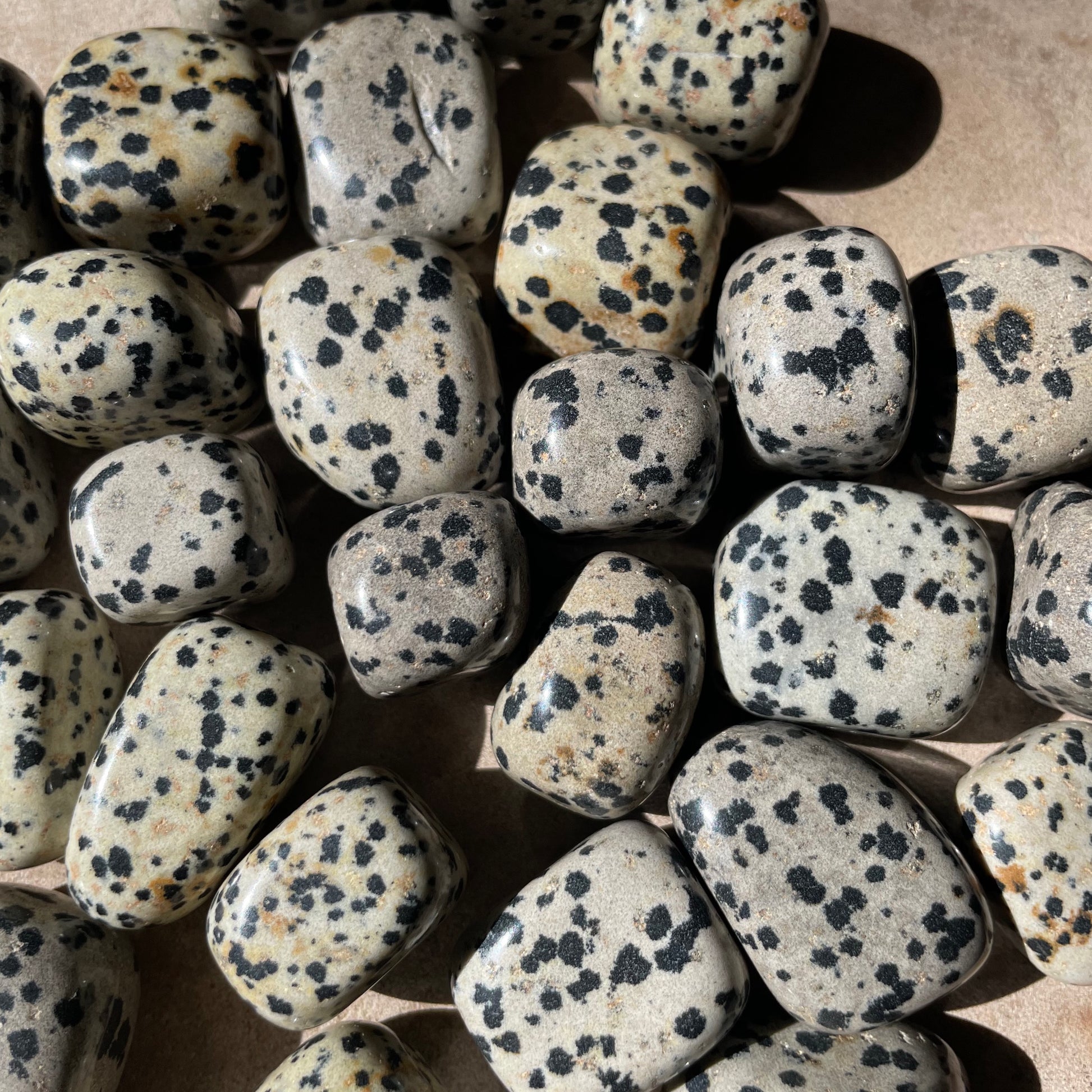 Dalmatian stone tumble
