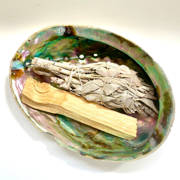 Palo Santo Stick and White Sage sitting in Abalone Shell.