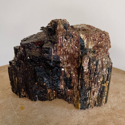 Black Tourmaline and Mica Cluster sitting on a stone with a white background.