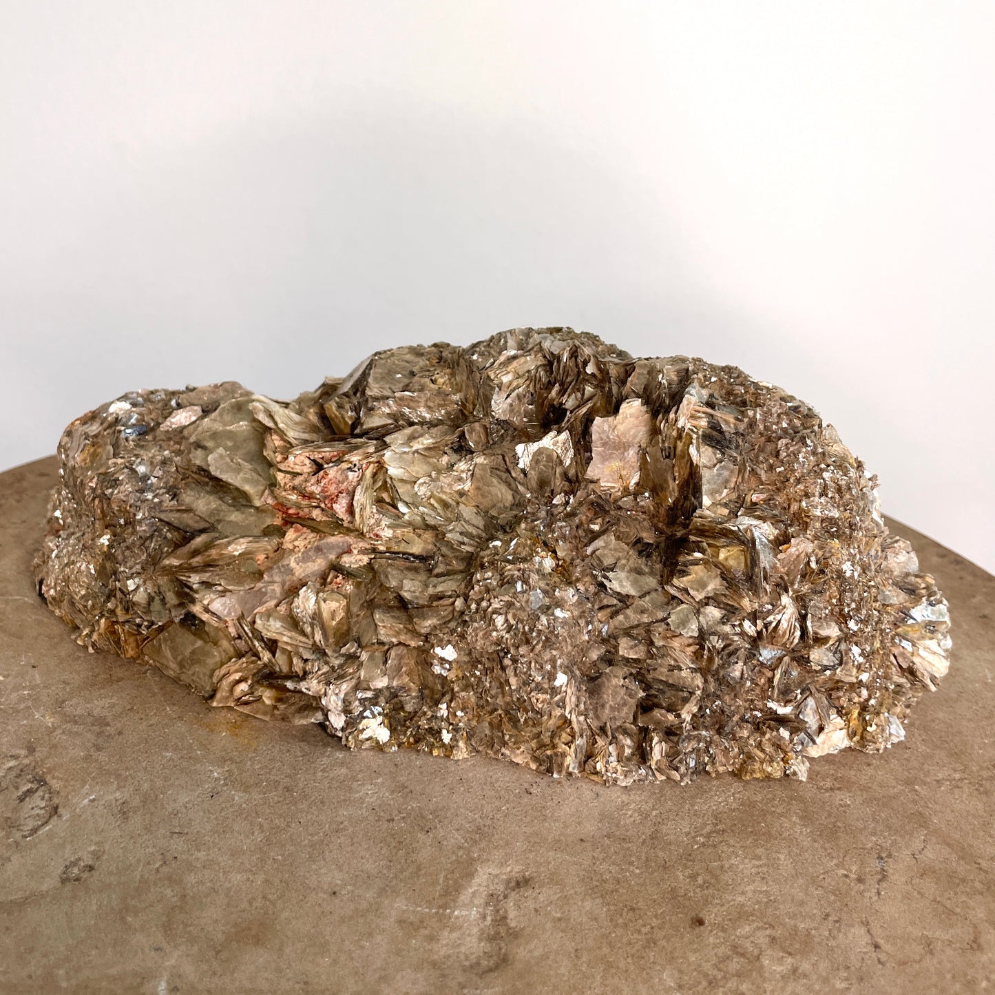 Black Tourmaline and Mica Cluster sitting on a stone with a white background.