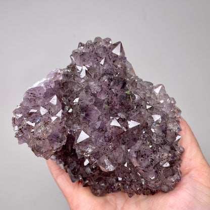 Amethyst cluster
