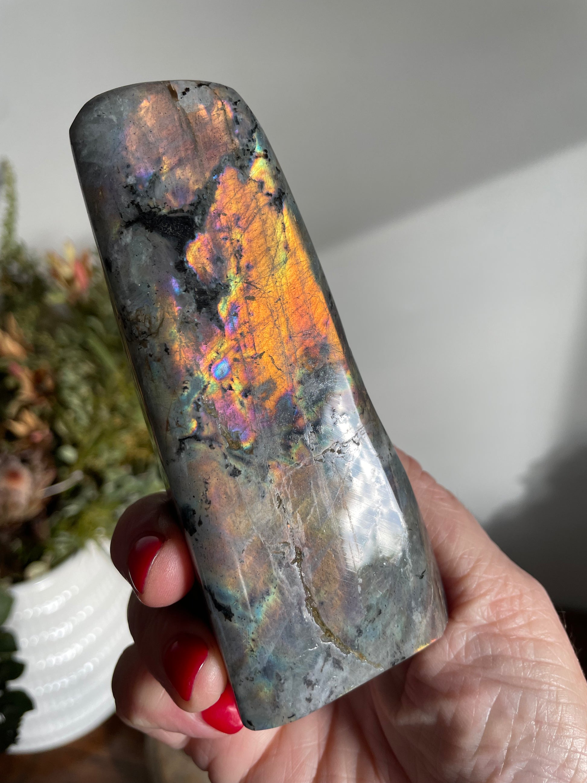 Labradorite Free form 11CM