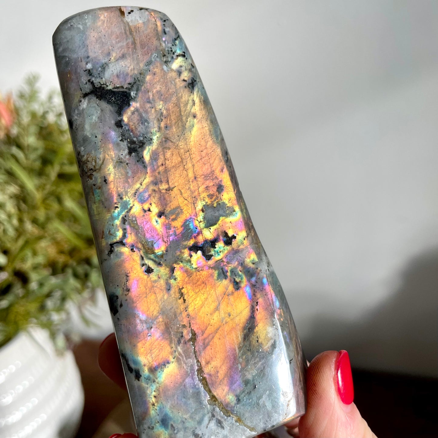 Labradorite Free form 11CM