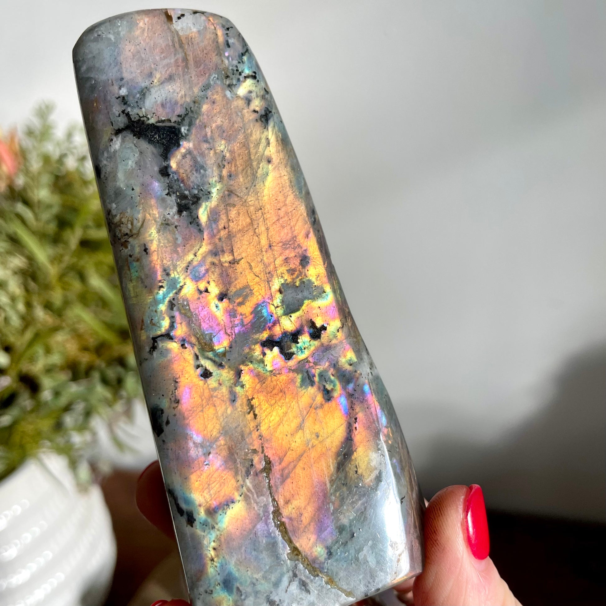 Labradorite Free form 11CM