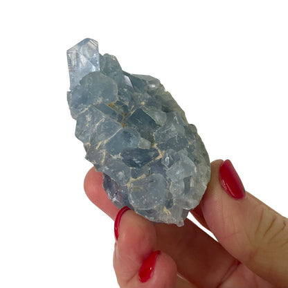 Celestite clusters