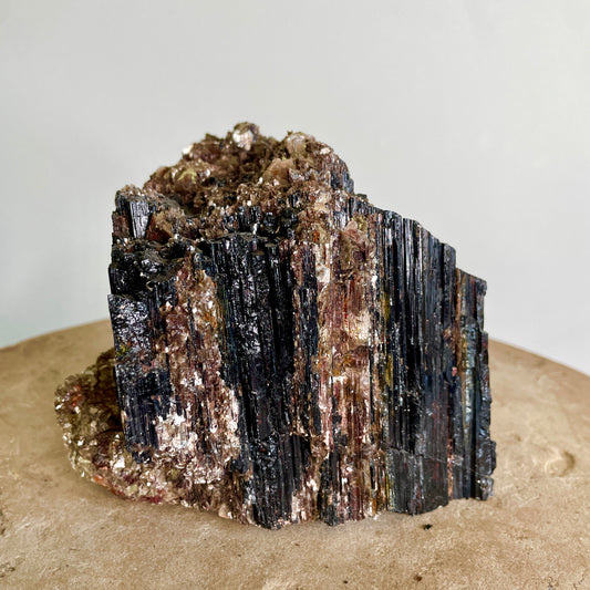 Black Tourmaline and Mica Cluster sitting on a stone with a white background.