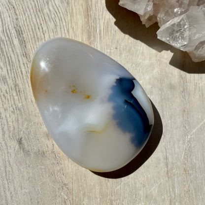Dendritic Agate palm stone