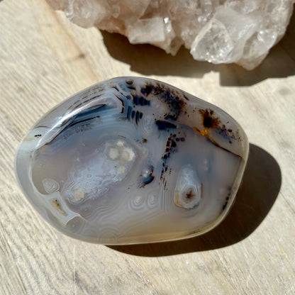 Dendritic Agate palm stone